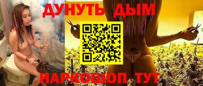 apvp Нальчик