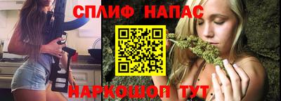 apvp Нальчик