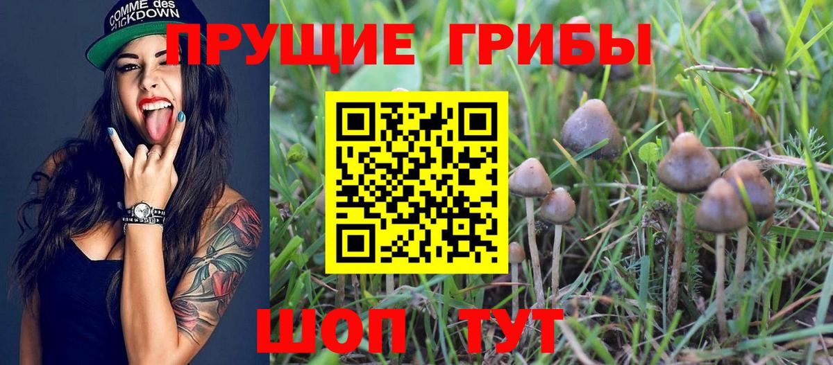 Псилоцибиновые грибы мицелий  Вход с VPN  дарнет шоп  Сафоново 