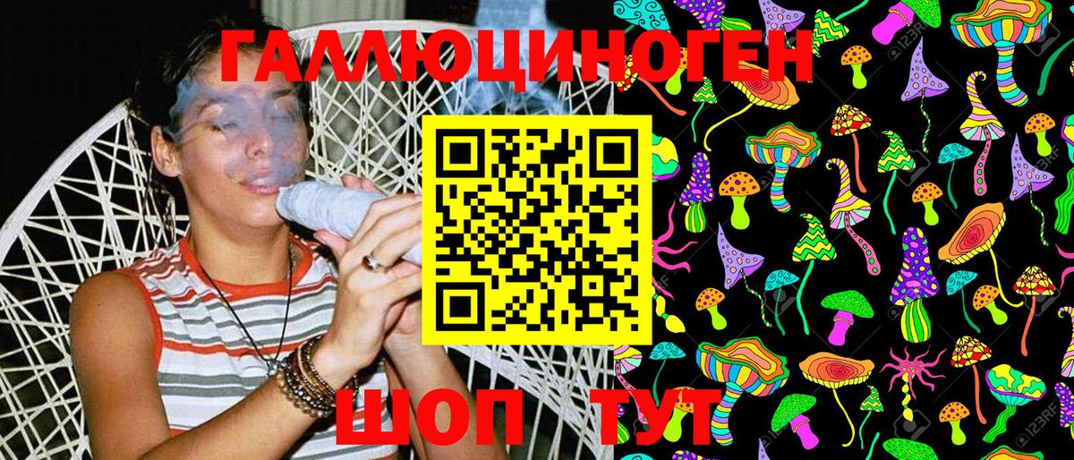 Галлюциногенные грибы Psilocybe Сафоново